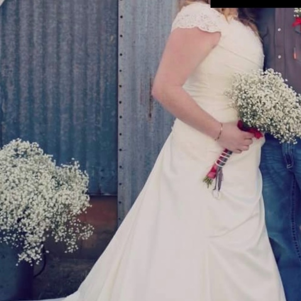 David's Bridal Ivory Lace Wedding Dress